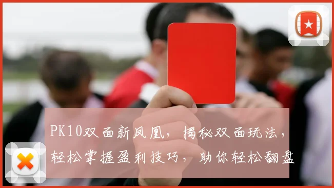 PK10双面新凤凰，揭秘双面玩法，轻松掌握盈利技巧，助你轻松翻盘