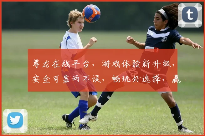 尊龙在线平台，游戏体验新升级，安全可靠两不误，畅玩好选择，赢大奖逗不停