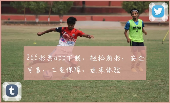 265彩票app下载，轻松购彩，安全可靠，三重保障，速来体验