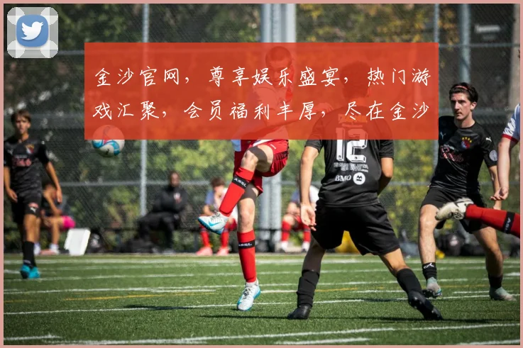 金沙官网，尊享娱乐盛宴，热门游戏汇聚，会员福利丰厚，尽在金沙官网，体验非凡