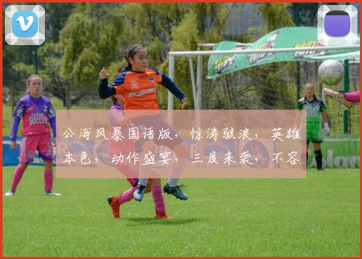 公海风暴国语版，惊涛骇浪，英雄本色，动作盛宴，三度来袭，不容错过