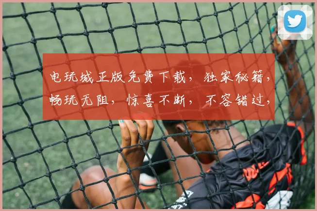 电玩城正版免费下载，独家秘籍，畅玩无阻，惊喜不断，不容错过，三重福利