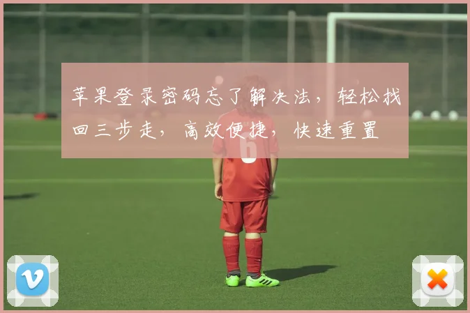 苹果登录密码忘了解决法，轻松找回三步走，高效便捷，快速重置